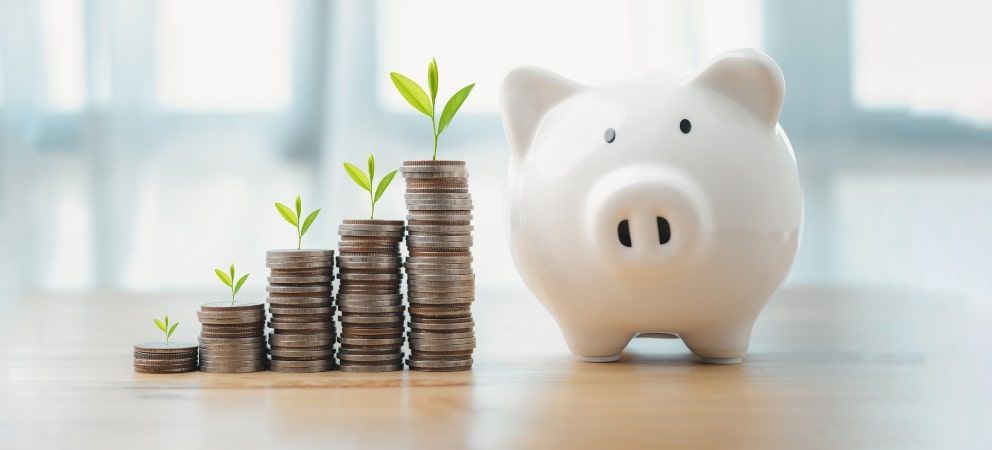 Economisire sau investiții