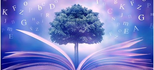Dicționar financiar - dictionar termeni financiari